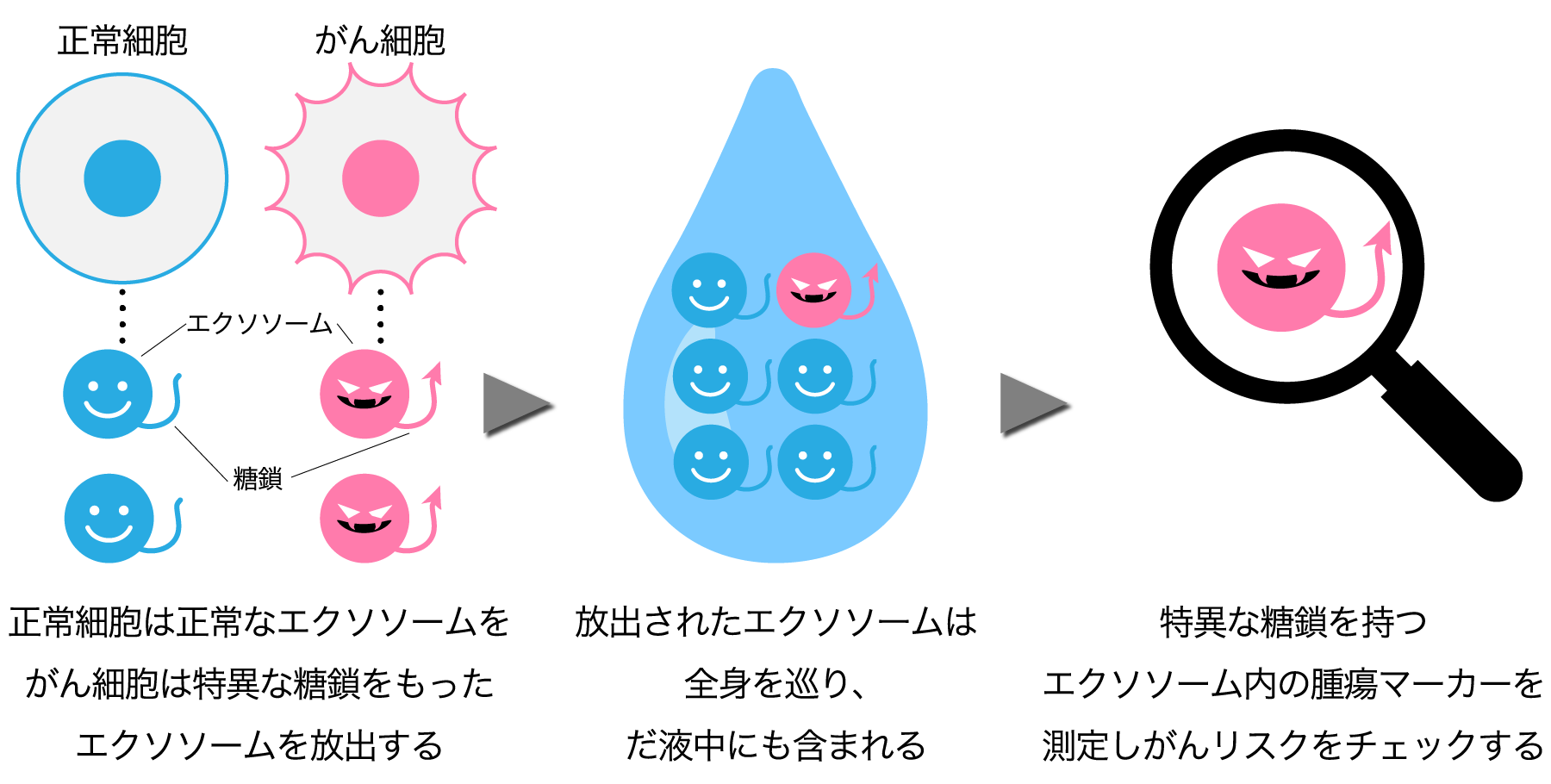 グライコチェッカーの仕組み